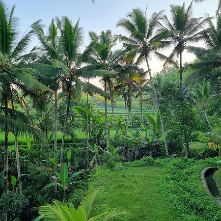 Puri Sebali Resort Ubud Exterior foto